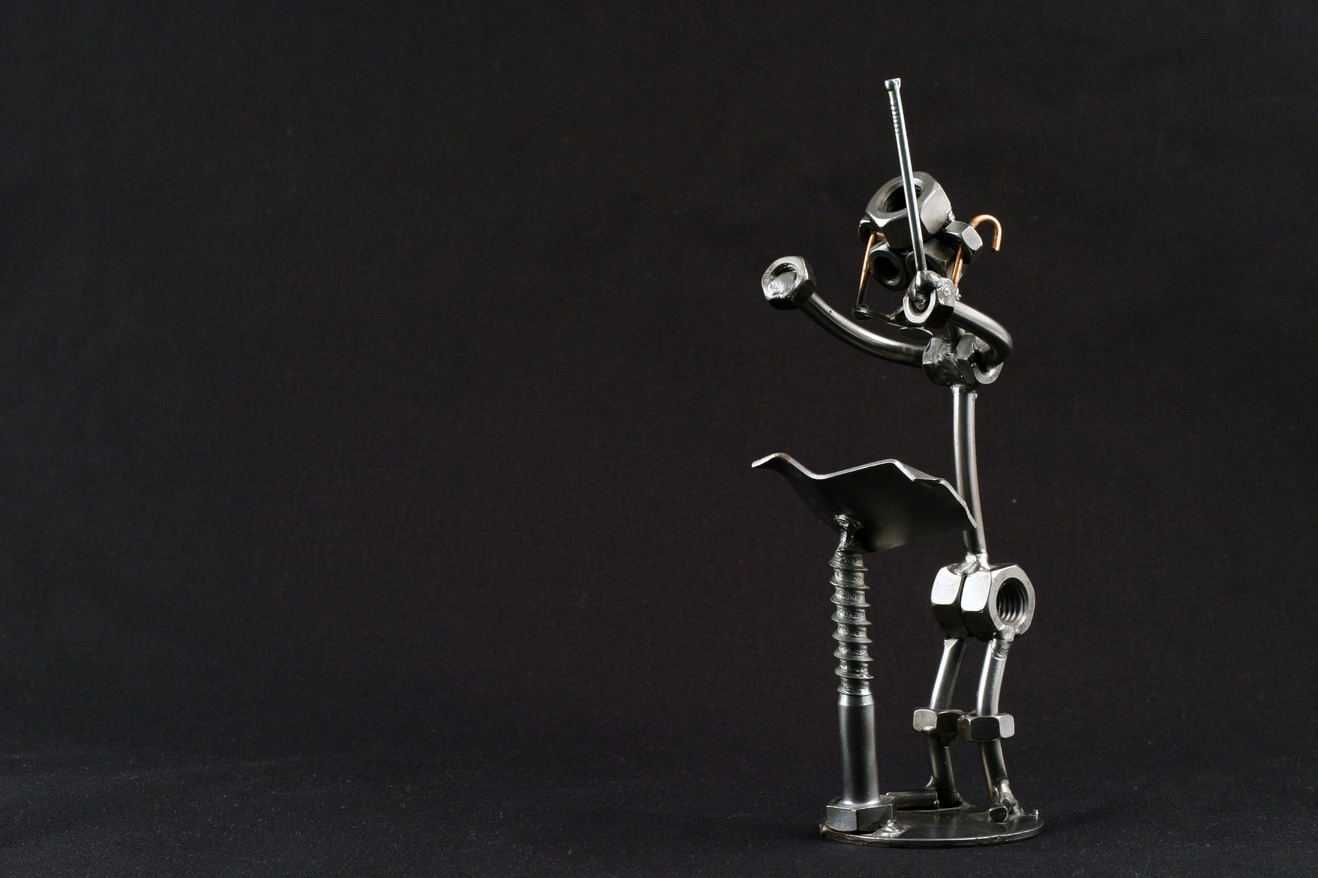 conductor-1029198_1920